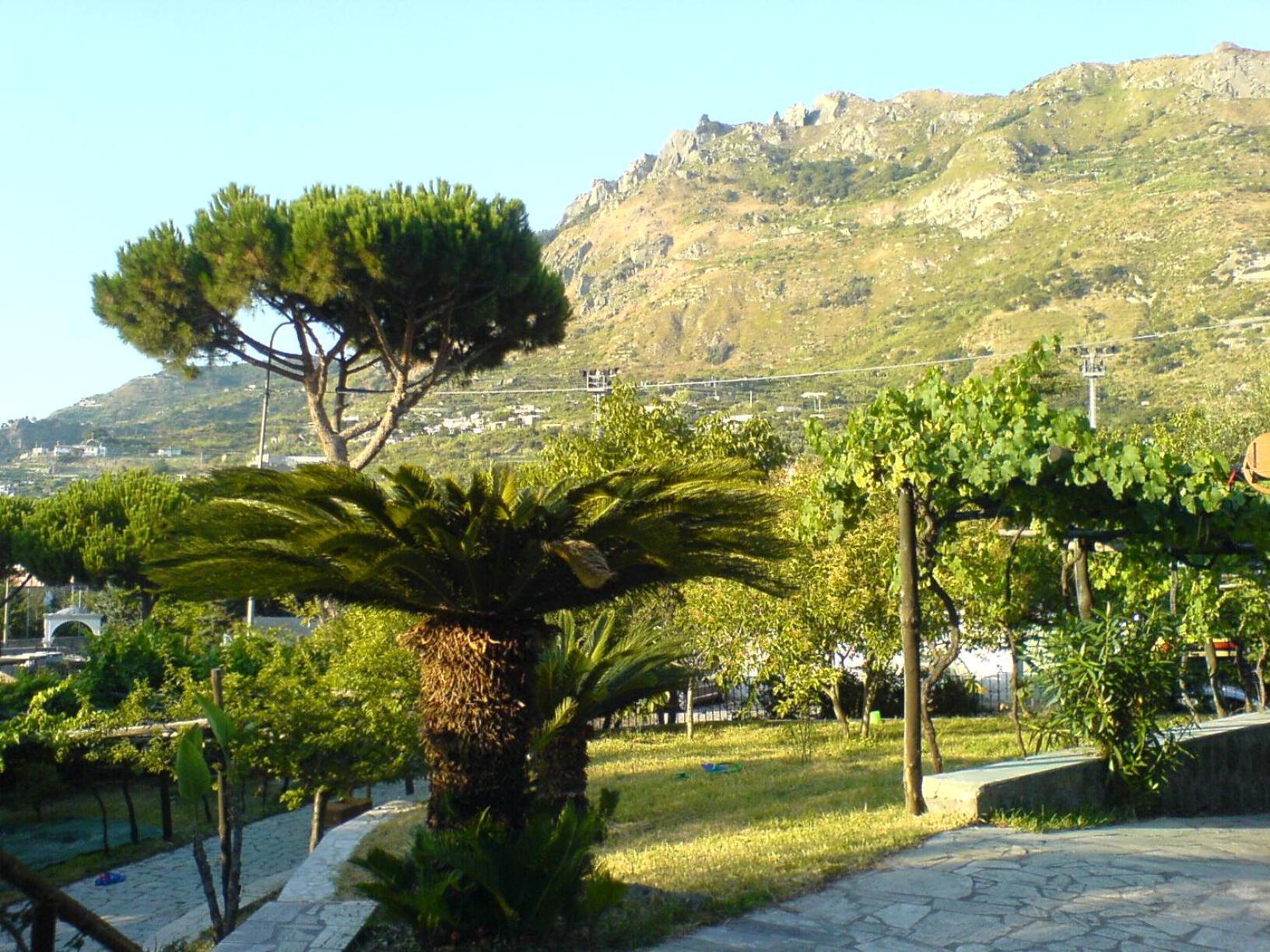 Angelo Villa Ischia